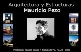 Arquitectura y Estructuras Mauricio Pezo Profesora: Claudia Castro / Trabajo N º 1 / FAUG - 2009.