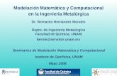 Modelación Matemática y Computacional en la Ingeniería Metalúrgica Mayo 2008 Seminarios de Modelación Matemática y Computacional Instituto de Geofísica,