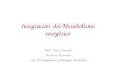 Integración del Metabolismo energético MSc. Ana Colarossi Profesor Asociado Lab. De Bioquímica y Biología Molecular.