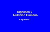 Digestión y Nutrición Humana Capítulo 41. Combatiendo la Grasa Células almacenadoras de grasa son una adaptación para la supervivencia en tiempos de escasez.