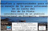 Desafíos y oportunidades para el co-manejo de la pesca artesanal en la costa del Río de la Plata: consideraciones de un análisis institucional en Piriápolis,