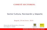 COMITÉ SECTORIAL Sector Cultura, Recreación y Deporte Bogotá, 29 de Enero 2010 Dirección de Planeación y Procesos Estratégicos -SCRD.