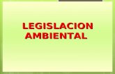 LEGISLACION AMBIENTAL. 2 CONSTITUCION POLITICA Y AMBIENTE.