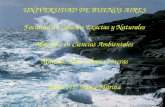 UNIVERSIDAD DE BUENOS AIRES Facultad de Ciencias Exactas y Naturales Maestría en Ciencias Ambientales Materia: Mar y Área Costeras Parte III: Física Marina.