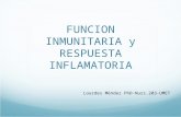 FUNCION INMUNITARIA y RESPUESTA INFLAMATORIA Lourdes Méndez PhD-Nurs.203-UMET.