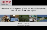 Métodos biológicos para la determinación de la calidad del agua María J. Servia UNIVERSIDADE DA CORUÑA.