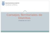 FEBRERO DE 2013 Consejos Territoriales de Distritos.
