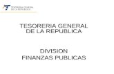 TESORERIA GENERAL DE LA REPUBLICA DIVISION FINANZAS PUBLICAS.