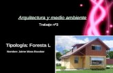 Arquitectura y medio ambiente Trabajo nº3 Tipología: Foresta L Nombre: Jaime Mora Escobar.