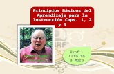 Principios Básicos del Aprendizaje para la Instrucción Caps. 1, 2 y 3 Prof. Carolina Mora.