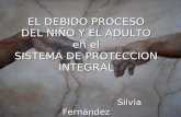EL DEBIDO PROCESO DEL NIÑO Y EL ADULTO en el SISTEMA DE PROTECCION INTEGRAL Silvia Fernández.