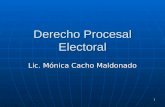 1 Derecho Procesal Electoral Lic. Mónica Cacho Maldonado.
