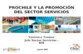 PROCHILE Y LA PROMOCIÓN DEL SECTOR SERVICIOS Verónica Tramer Jefe Sector Servicios - RM Agosto 2007.
