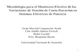 Metodología para el Monitoreo Efectivo de las Variaciones de Tensión de Corta Duración en Sistemas Eléctricos de Potencia 1 Jorge Marcial Campuzano Ayala.