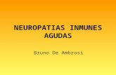 NEUROPATIAS INMUNES AGUDAS Bruno De Ambrosi. ELEMENTOS COMUNES Prodromo 50% 2 semanas antes. Progresión: media 5 a10 d, rango de 2 a 28d. Curso en gral.
