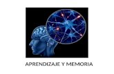 APRENDIZAJE Y MEMORIA. Aprendizaje y memoria Aprendizaje: – Cualquier cambio relativamente estable en el comportamiento como consecuencia de la experiencia.