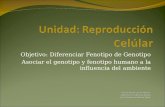 Objetivo: Diferenciar Fenotipo de Genotipo Asociar el genotipo y fenotipo humano a la influencia del ambiente Profesor José De La Cruz Martínez Departamento.