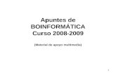 1 Apuntes de BOINFORMÁTICA Curso 2008-2009 (Material de apoyo multimedia)
