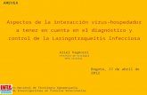Aspectos de la interacción virus-hospedador a tener en cuenta en el diagnóstico y control de la Laringotraqueítis Infecciosa Ariel Vagnozzi Instituto de.