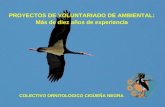 COLECTIVO ORNITOLOGICO CIGÜEÑA NEGRA PROYECTOS DE VOLUNTARIADO DE AMBIENTAL: Más de diez años de experiencia.