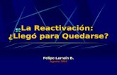 La Reactivación: ¿Llegó para Quedarse? Felipe Larraín B. Agosto 2004.