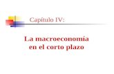 Capítulo IV: La macroeconomía en el corto plazo. 1.Las fluctuaciones económicas en el largo plazo. 2.Volatilidad del PBI en el caso argentino y el mundo.