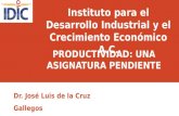 P RODUCTIVIDAD : UNA ASIGNATURA PENDIENTE Dr. José Luis de la Cruz Gallegos 9-Octubre-2014 Instituto para el Desarrollo Industrial y el Crecimiento Económico.
