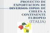 1 PROYECTO DE EXPORTACION DE DIVERSOS TIPOS DE CHILES A CONTINENTE EUROPEO (ITALIA)