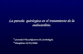 La parcela quirúrgica en el tratamiento de la endocarditis. Sociedad VascoNavarra de Cardiología. Pamplona 25/X1/2006.