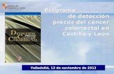 Programa de detección precoz del cáncer colorrectal en Castilla y León Valladolid, 13 de noviembre de 2013.