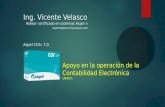 Asesor certificado en sistemas Aspel ® Aspel COI ® 7.0 Apoyo en la operación de la Contabilidad Electrónica (AMCP) Ing. Vicente Velasco soporte@servicioyapoyo.com.