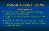 TIPOS DE FLORA Y FAUNA Ideas previas Ideas previas ¿Podrías nombrar algún animal que sólo viva en Canarias? ¿Podrías nombrar algún animal que sólo viva.