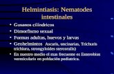 Helmintiasis: Nematodes intestinales Gusanos cilíndricos Dimorfismo sexual Formas adultas, huevos y larvas Geohelmintos Ascaris, uncinarias, Trichuris.