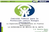 Comisión Federal para la Protección contra Riesgos Sanitarios I.A. Rosalía Reyes Pérez Curitiba Paraná, Brasil COFEPRIS - MÉXICO La Experiencia Panamericana.