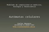 Modelado de complejidad en medicina, biología y neurociencia Autómatas celulares Carlos Reynoso UNIVERSIDAD DE BUENOS AIRES .