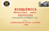 BIOQUÍMICA Modalidad semi-presencial Correo electrónico catbioquimicavet@gmail.com Blog catbioquimicavet.ecaths.com.