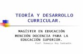 TEORÍA Y DESARROLLO CURRICULAR. MAGÍSTER EN EDUCACIÓN MENCIÓN DOCENCIA PARA LA EDUCACIÓN SUPERIOR. Prof. Damarys Roy Sadradín.