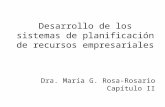 Desarrollo de los sistemas de planificación de recursos empresariales Dra. María G. Rosa-Rosario Capítulo II.
