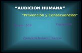 “AUDICION HUMANA” “Prevención y Consecuencias” Grupo: 309 Equipo:04 Zavaleta Nolasco Karina.