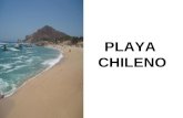PLAYA CHILENO. Esta playa se encuentra localizada en el kilómetro 14 del corredor turístico Cabo San Lucas – San José del Cabo, en 22”56”55.24 latitud.