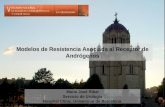 Modelos de Resistencia Asociada al Receptor de Andrógenos María José Ribal Servicio de Urología Hospital Clínic. Universitat de Barcelona.