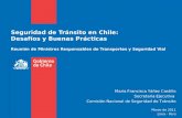 Seguridad de Tránsito en Chile: Desafíos y Buenas Prácticas Reunión de Ministros Responsables de Transportes y Seguridad Vial María Francisca Yáñez Castillo.