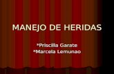 MANEJO DE HERIDAS * Priscilla Garate *Marcela Lemunao.
