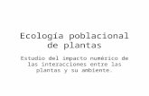 Ecología poblacional de plantas Estudio del impacto numérico de las interacciones entre las plantas y su ambiente.