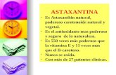 ASTAXANTINA Es Astaxanthin natural, poderoso carotenoide natural y vegetal. Es el antioxidante mas poderoso y seguro de la naturaleza. Es 550 veces más.
