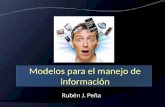 Rubén J. Peña Modelos para el manejo de información.
