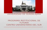 UNIVERSIDAD DE GUADALAJARA PROGRAMA INSTITUCIONAL DE TUTORÍA CENTRO UNIVERSITARIO DEL SUR.