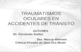 TRAUMATISMOS OCULARES EN ACCIDENTES DE TRÁNSITO AUTORES Dr. Fernando Ibañez Dra. Marcia Wiernes Clínica Privada de Ojos Dra Mulet.