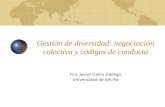 Gestión de diversidad: negociación colectiva y códigos de conducta Fco. Javier Calvo Gallego Universidad de Sevilla.