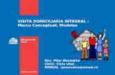 VISITA DOMICILIARIA INTEGRAL : Marco Conceptual, Modelos Dra. Pilar Monsalve ChCC- Ciclo vital MINSAL (pmonsalve@minsal.cl)